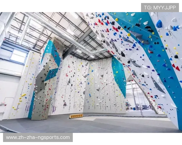 成都攀岩队的节奏与激情探讨攀岩运动的魅力与挑战